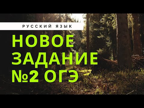 НОВОЕ ЗАДАНИЕ №2 ОГЭ по русскому языку [IrishU]