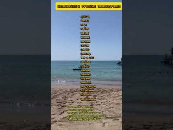 Испанские и русские полиндромы: Что скрывается за словами?