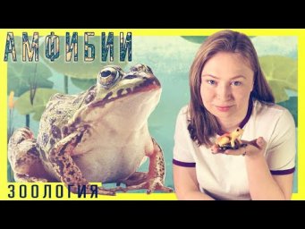 Земноводные. Урок биологии №87