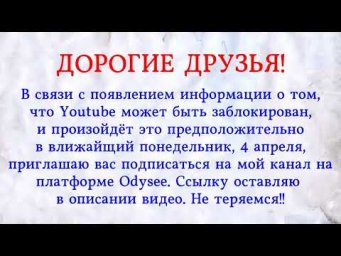 Дорогие друзья!
