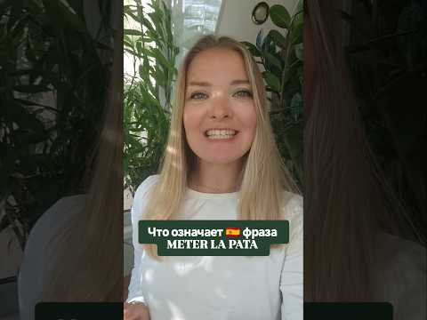 как перевести с испанского meter la pata #испанскийонлайн #испанскийязык