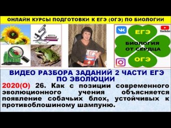 ЗАДАНИЕ ИЗ ЕГЭ 2020  ПО ЭВОЛЮЦИИ