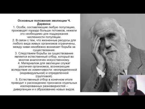 Эволюционное учение Ч. Дарвина Эволюционное учение Ч. Дарвина