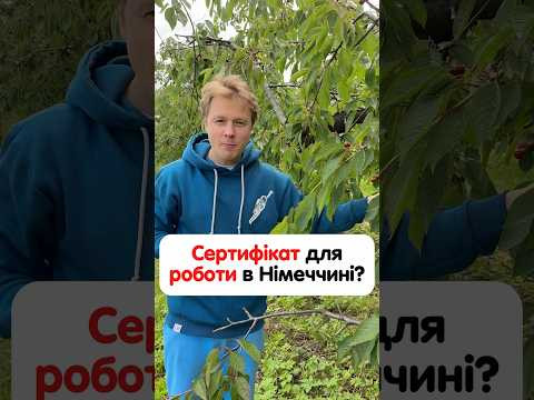 Який сертифікат краще підходить для роботи в Німеччині? Який сертифікат краще підходить для роботи в Німеччині?