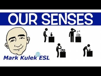 Our Senses - smell, sound, pain, itch + more | Mark Kulek - ESL