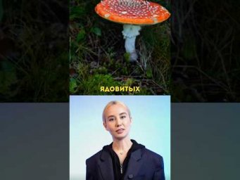 А вы знали про этот удивительный факт из биологии?