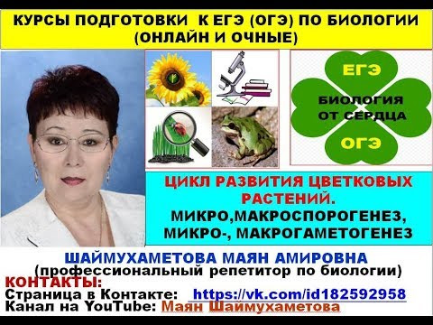 ЦИКЛ РАЗВИТИЯ ЦВЕТКОВЫХ РАСТЕНИЙ. МИКРО-, МАКРОСПОРОГЕНЕЗ, МИКРО-, МАКРОГАМЕТОГЕНЕЗ. ЦИКЛ РАЗВИТИЯ ЦВЕТКОВЫХ РАСТЕНИЙ. МИКРО-, МАКРОСПОРОГЕНЕЗ, МИКРО-, МАКРОГАМЕТОГЕНЕЗ.