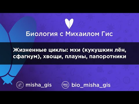 Жизненные циклы: мхи, хвощи, плауны, папоротники | ЕГЭ ОГЭ Биология с Михаилом Гис Жизненные циклы: мхи, хвощи, плауны, папоротники | ЕГЭ ОГЭ Биология с Михаилом Гис