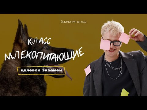 КЛАСС МЛЕКОПИТАЮЩИЕ | Целевой экзамен