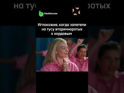 Иглокожие и Хордовые относятся к ВТОРИЧНОРОТЫМ