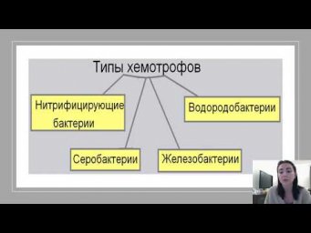 Хемосинтез
