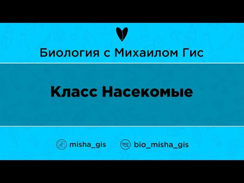 Класс Насекомые | ЕГЭ ОГЭ Биология с Михаилом Гис Класс Насекомые | ЕГЭ ОГЭ Биология с Михаилом Гис