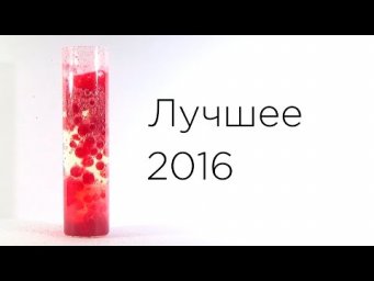 Лучшие кадры за 2016 | Олег Григорьев