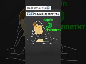 В 2025 году открыт гормон РАПТИН, который снижает аппетит #гормон #аппетит #сон #ожирение