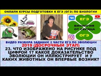 ЗАДАНИЕ ИЗ ДОСРОЧНОГО ЭТАПА 2019 ГОДА