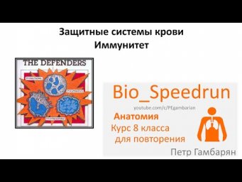 13. Иммунитет (Speedrun анатомия 8 класс, ЕГЭ, ОГЭ 2021)