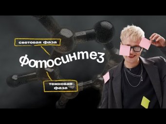 Марафон по биохимии | Фотосинтез