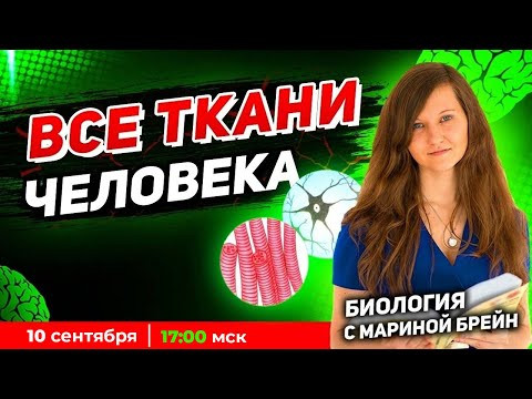Все ткани человека. Полный разбор. Демо мастер-группа.