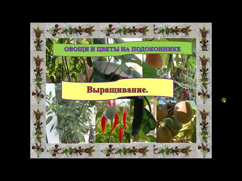 Овощи и цветы на подоконнике. Овощи и цветы на подоконнике.