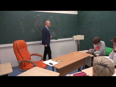 32. Пищеварение моллюсков. Битвы осьминогов и кашалотов!