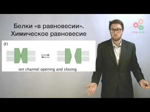 Введение. Физика и биологические макромолекулы (без музыки)