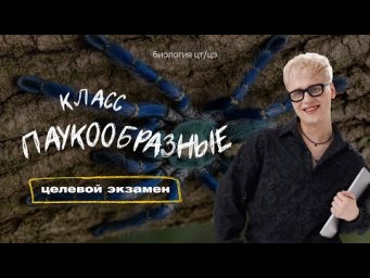 КЛАСС ПАУКООБРАЗНЫЕ | Целевой экзамен