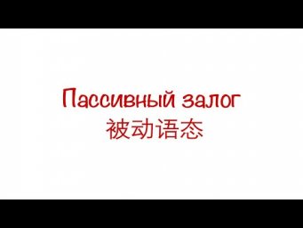 Пассивный залог в китайском языке 被动语态 HSK 3/4/5