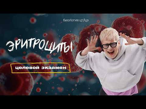ЭРИТРОЦИТЫ. ГРУППЫ КРОВИ. РЕЗУС-ФАКТОР | Целевой экзамен ЭРИТРОЦИТЫ. ГРУППЫ КРОВИ. РЕЗУС-ФАКТОР | Целевой экзамен