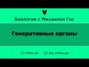 Генеративные органы  | ЕГЭ ОГЭ Биология с Михаилом Гис
