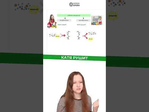 тгк: Марина Брейн #егэ2027 #егэбиология
