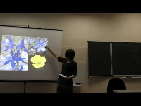 Морфология растений. Часть 2. Платонова А. Г. 03.11.2014 edit Морфология растений. Часть 2. Платонова А. Г. 03.11.2014 edit