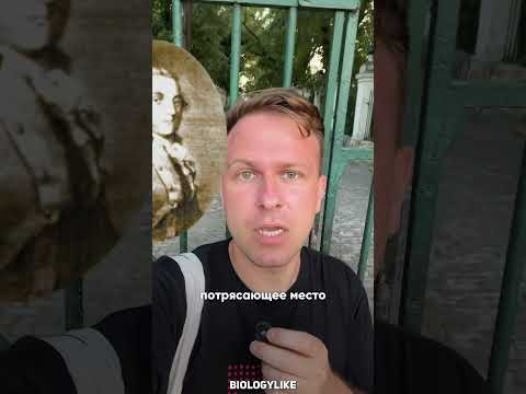 Кубинский ботанический сад Quinta de los Molinos в самом сердце Гаваны - тут был Гагарин Кубинский ботанический сад Quinta de los Molinos в самом сердце Гаваны - тут был Гагарин