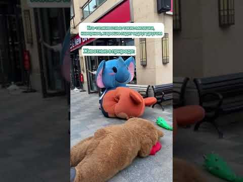 В природе все гармонично #школа #вебиум #егэ2025 #биооогия #природа