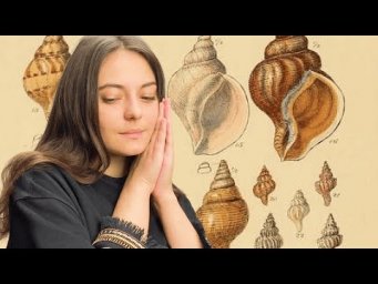Тип Моллюски. Классификация.