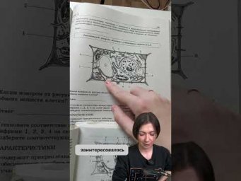 Продолжаем готовиться к ЕГЭ 