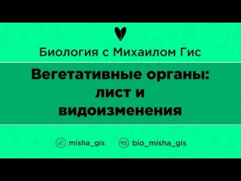 Лист и видоизменения  | ЕГЭ ОГЭ Биология с Михаилом Гис