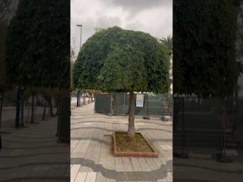 Приглашаю на прогулку ❤️