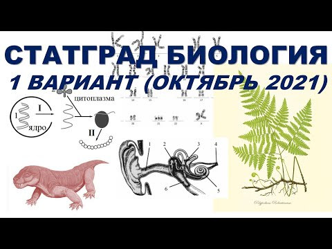 СТАТГРАД БИОЛОГИЯ | 1 вариант | Октябрь 2021