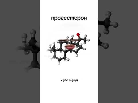 внутренний мир нашего организма 
