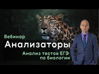 Анализаторы. Важные задания прошлых лет.
