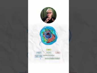 Строение клетки | Биология с Яном
