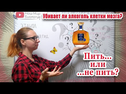 Пить или не пить? Убивает ли алкоголь клетки мозга? Пить или не пить? Убивает ли алкоголь клетки мозга?