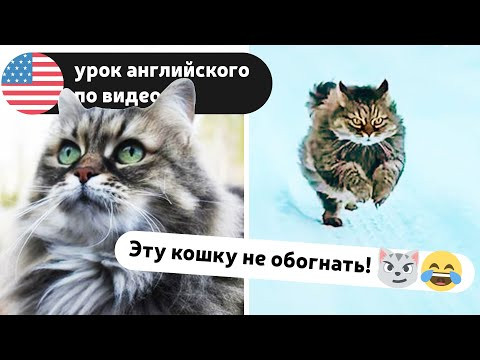 Смотрим видео на английском вместе | English Spot Смотрим видео на английском вместе | English Spot