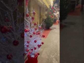 El pueblo brilla con adornos ✨