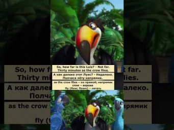 as the crow flies (Рио) #английский  #английскийпофильмам #english