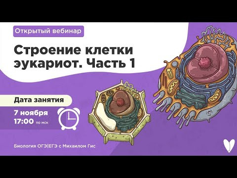 СТРОЕНИЕ КЛЕТКИ 1 ЧАСТЬ | Биология ОГЭ|ЕГЭ