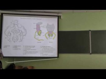 Энтомология. Лекция 1. Морфология. Анатомия. Развитие. Тимохов А. В. edit
