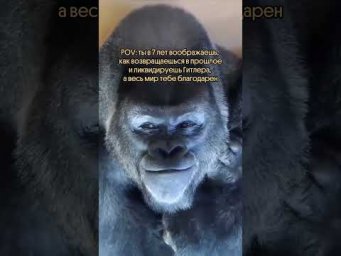 Не говорите, что не фантазировали #история #вебиум #историческиемемы