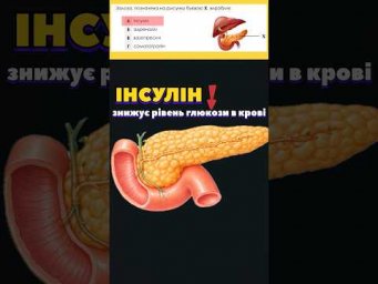 Розбір тестів та підготовка до іспитів з біології #нмт #biology