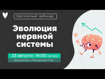Эволюция нервной системы | БИОЛОГИЯ ЕГЭ ОГЭ